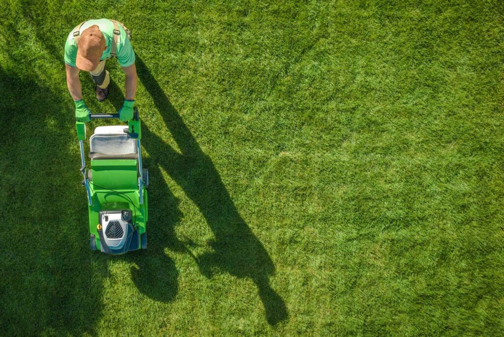 lawn care walsall